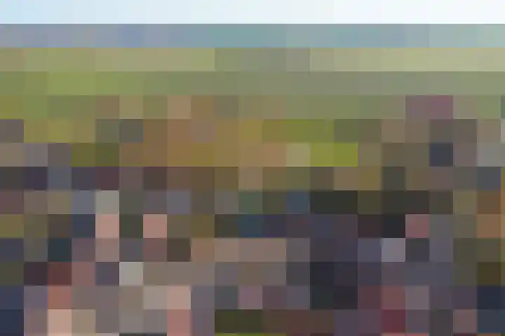 Pieterhofje 2 Zonnemaire thumbnail 23