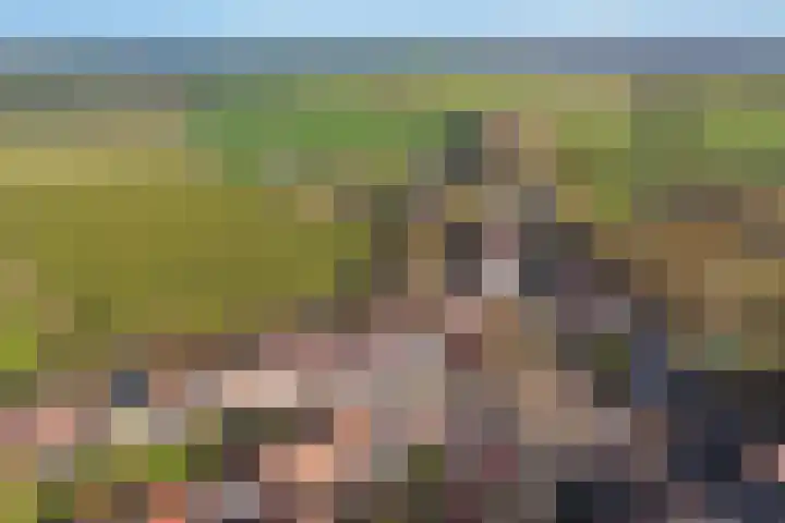 Pieterhofje 2 Zonnemaire thumbnail 24
