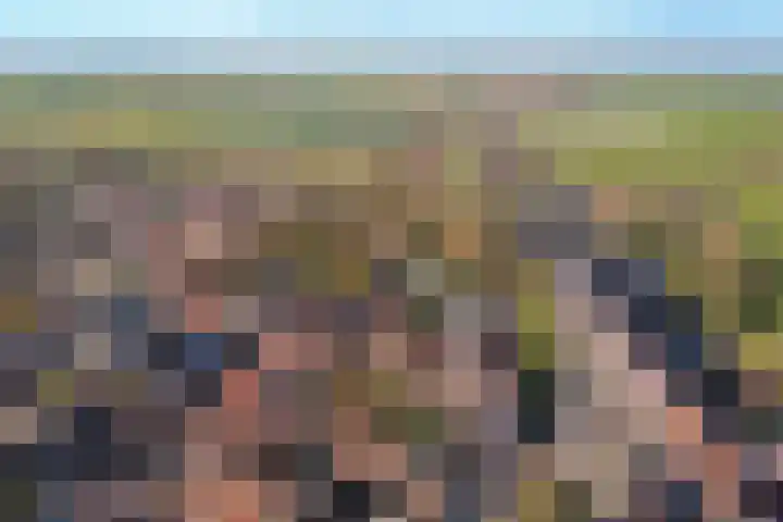 Pieterhofje 2 Zonnemaire thumbnail 26