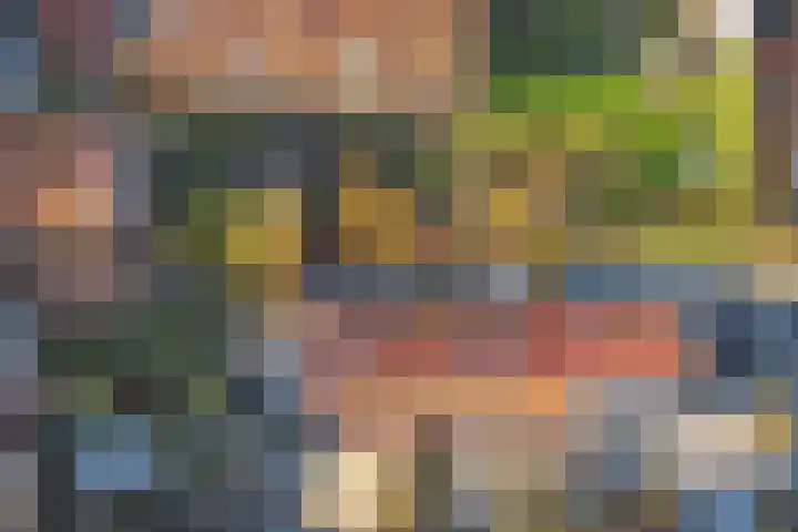 Pieterhofje 2 Zonnemaire thumbnail 29