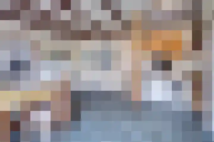 Pieterhofje 2 Zonnemaire thumbnail 5