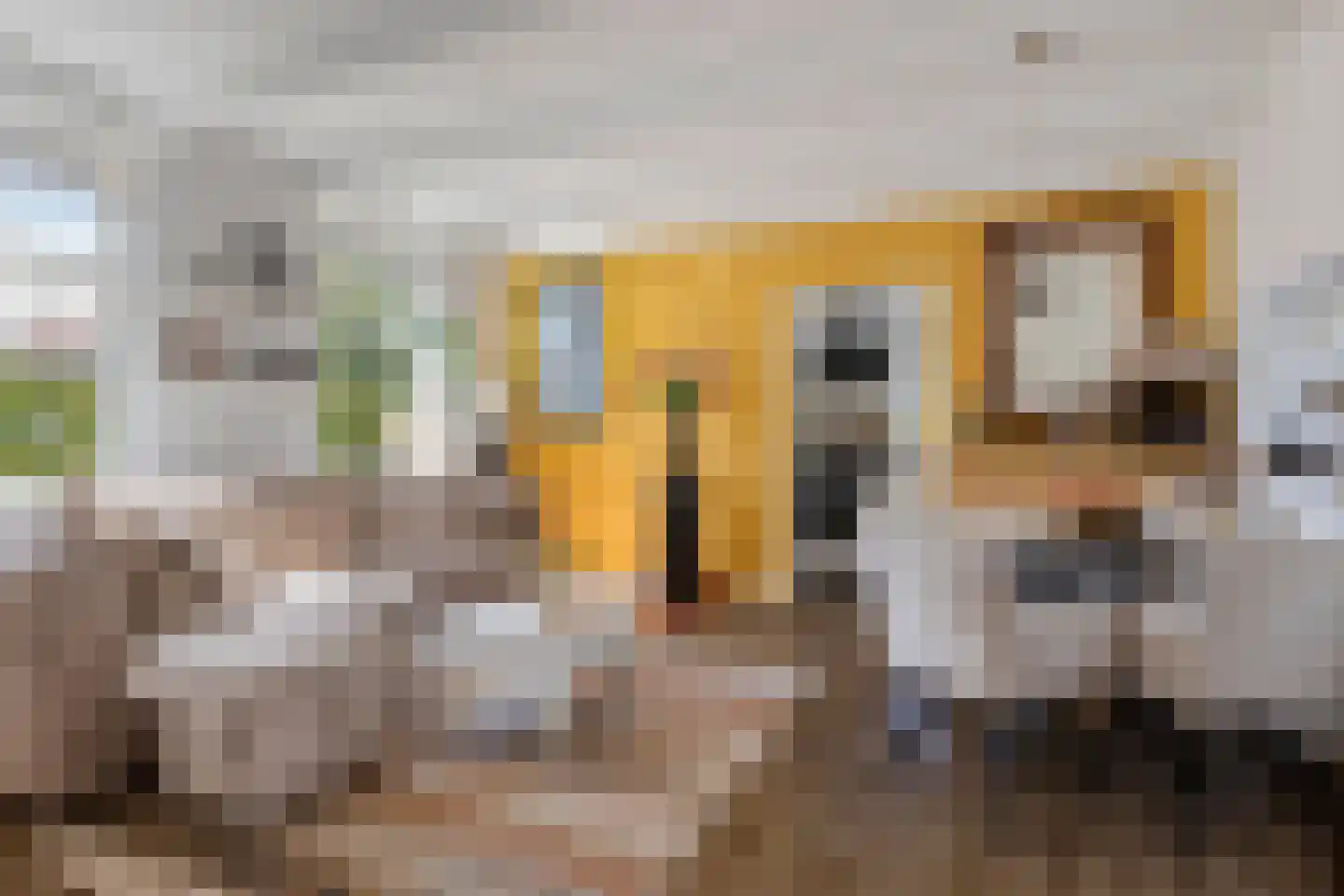 Pieterhofje 6 Zonnemaire thumbnail 12