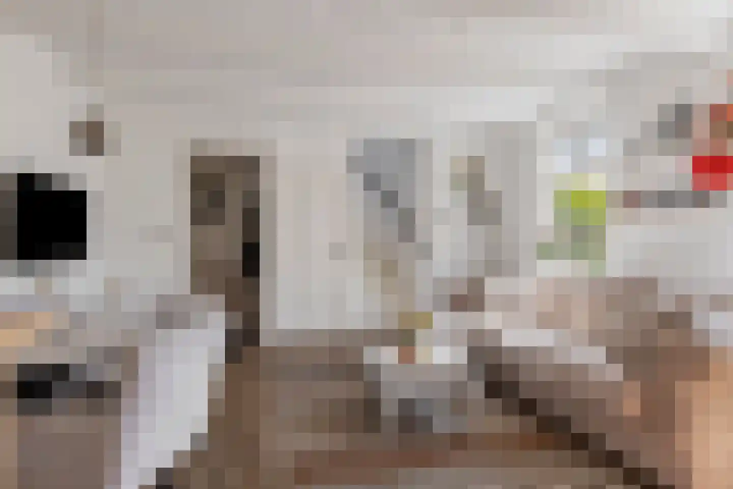 Pieterhofje 6 Zonnemaire thumbnail 18