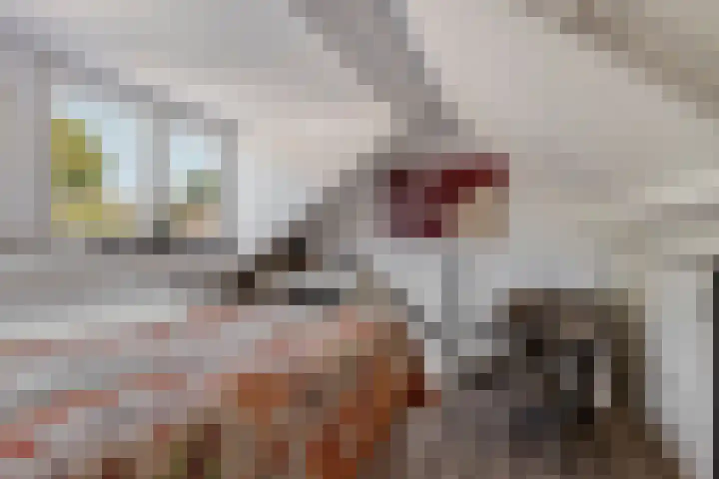 Pieterhofje 6 Zonnemaire thumbnail 23