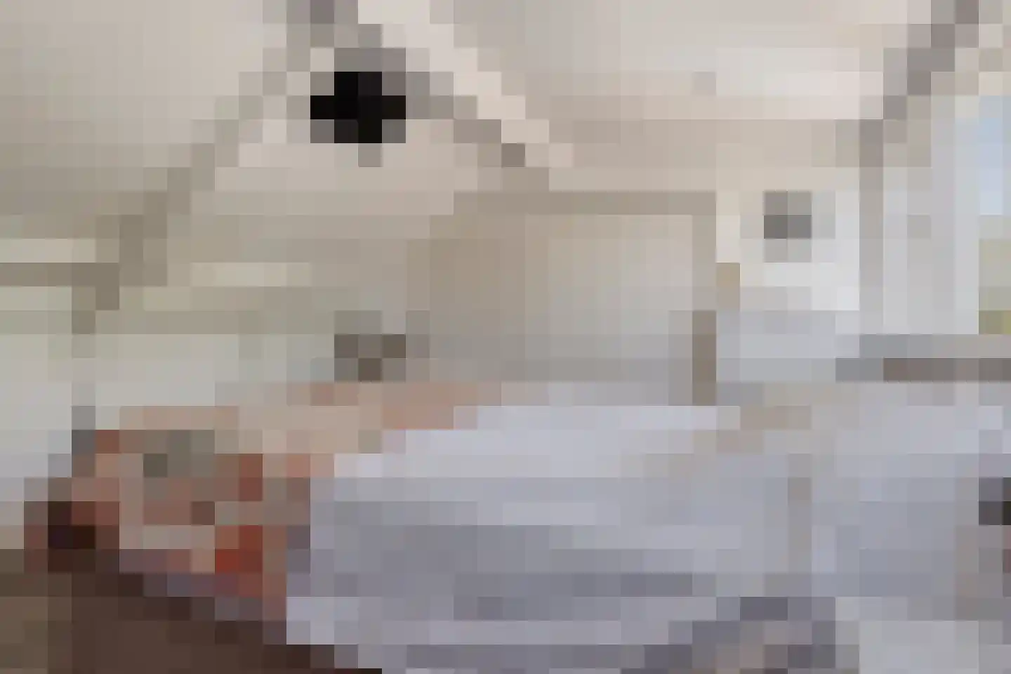 Pieterhofje 6 Zonnemaire thumbnail 24