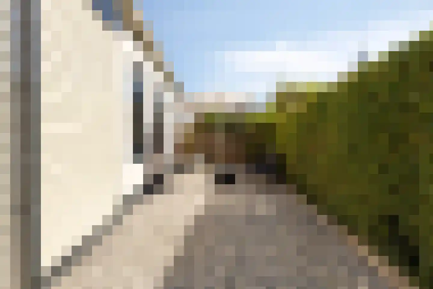Pieterhofje 6 Zonnemaire thumbnail 29