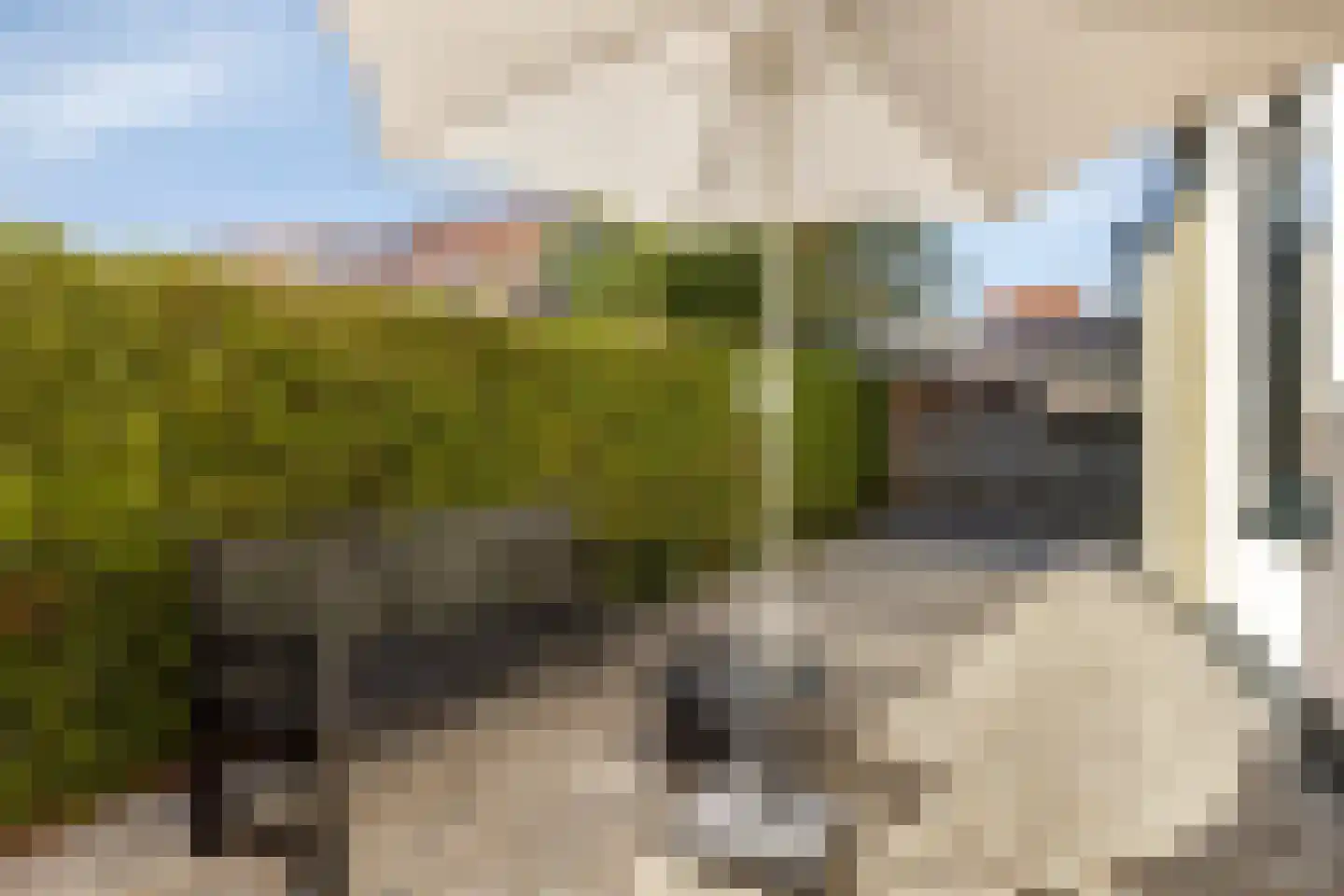 Pieterhofje 6 Zonnemaire thumbnail 31