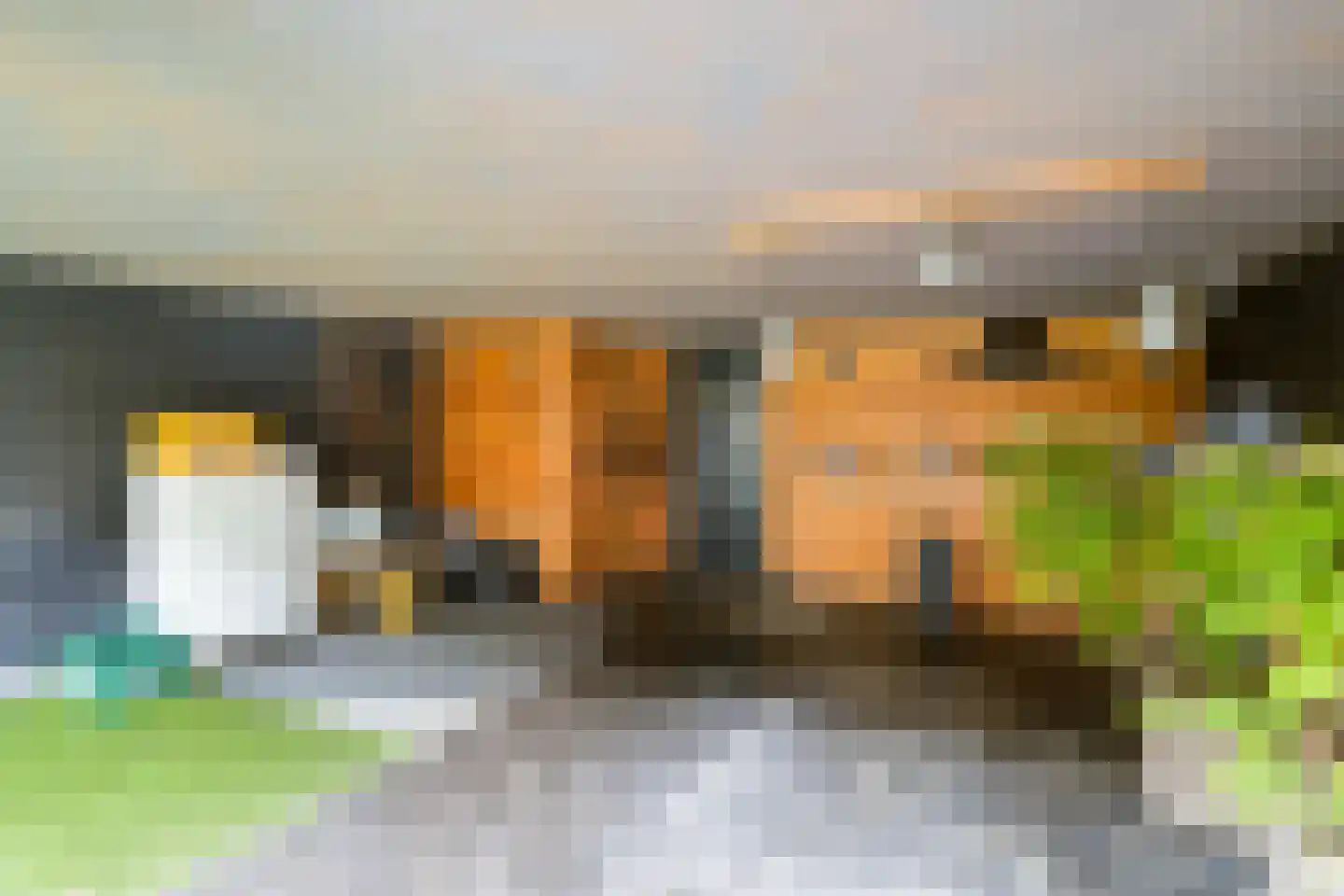 Pieternel Koomansstraat 19 Breda thumbnail 20