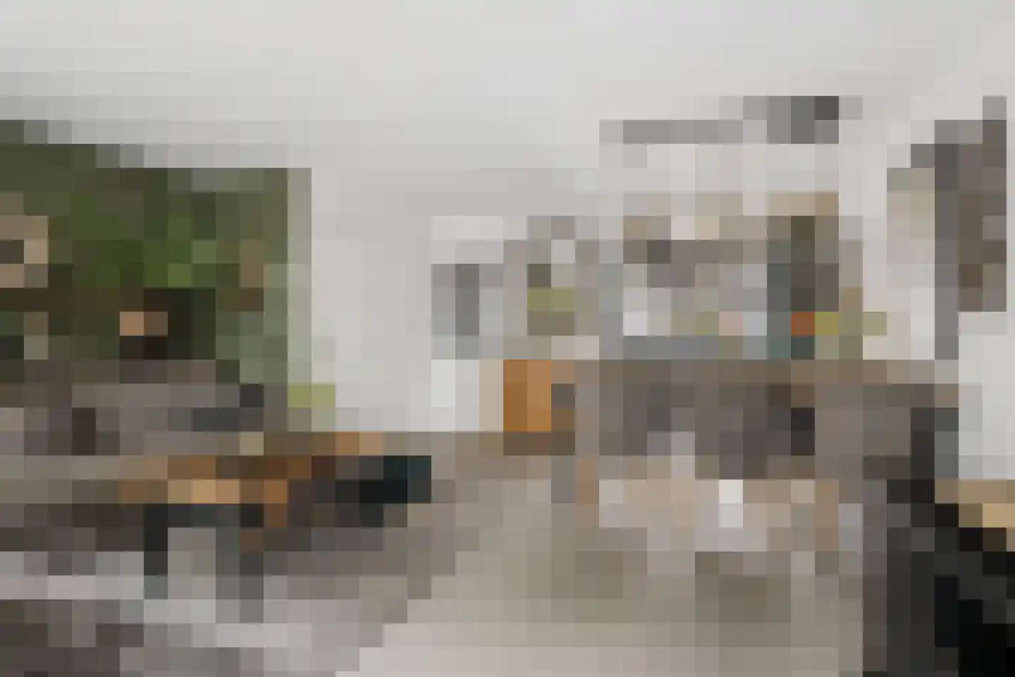 Pieternel Koomansstraat 19 Breda thumbnail 6