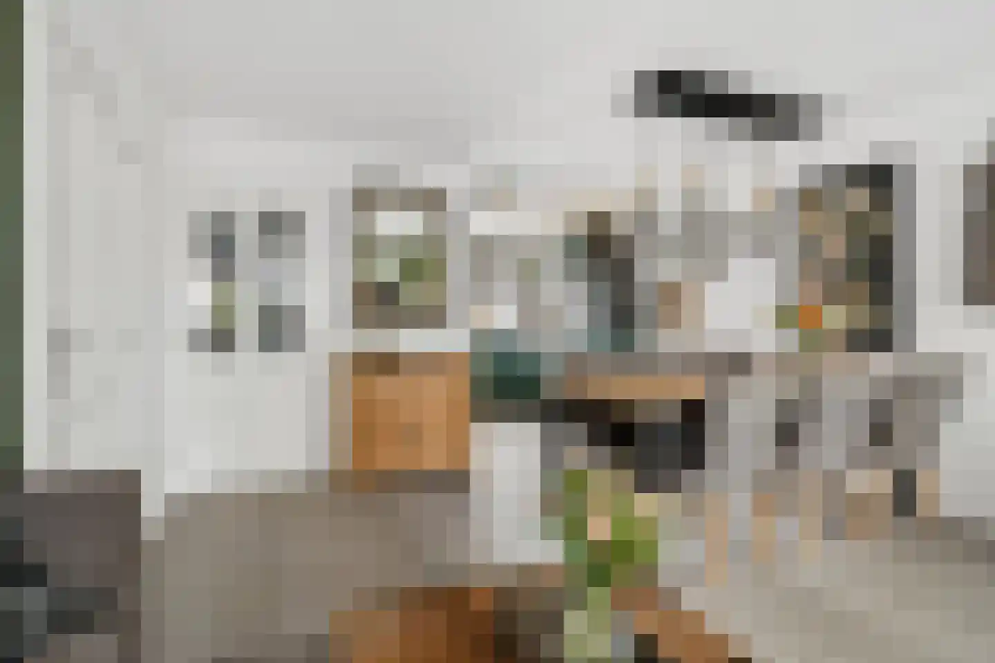 Pieternel Koomansstraat 19 Breda thumbnail 8