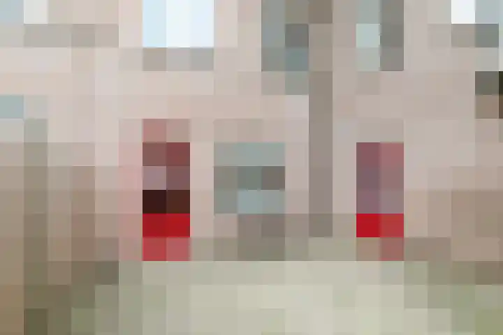 Pieternel Koomansstraat 74 Breda thumbnail 33