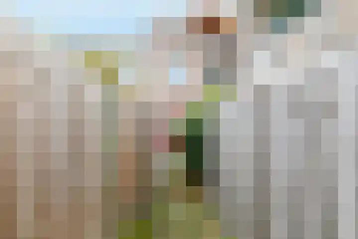 Pieternel Koomansstraat 74 Breda thumbnail 36