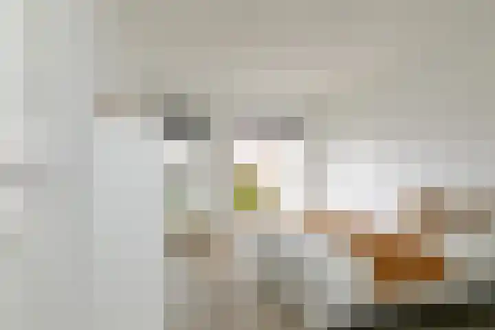 Pieternel Koomansstraat 74 Breda thumbnail 37
