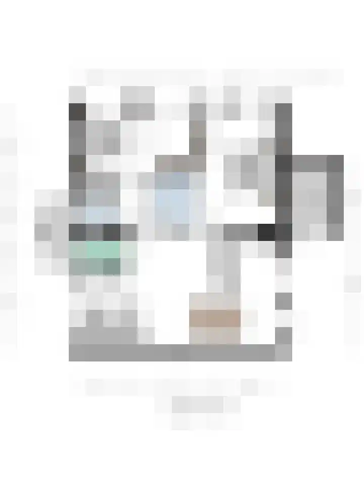 Pieternel Koomansstraat 74 Breda thumbnail 65