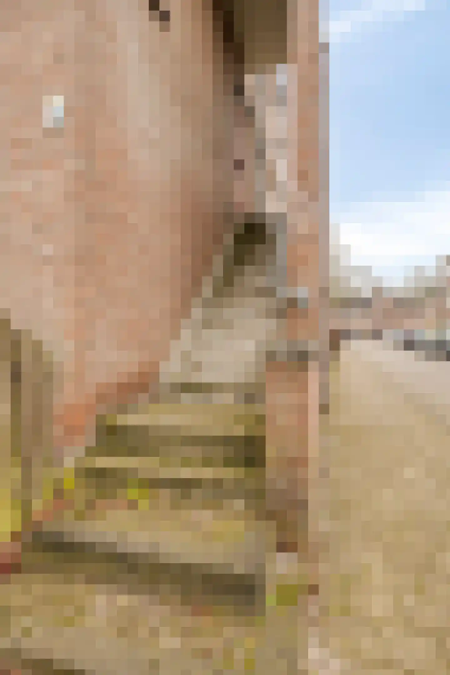 Pieternel Koomansstraat 76 Breda thumbnail 40