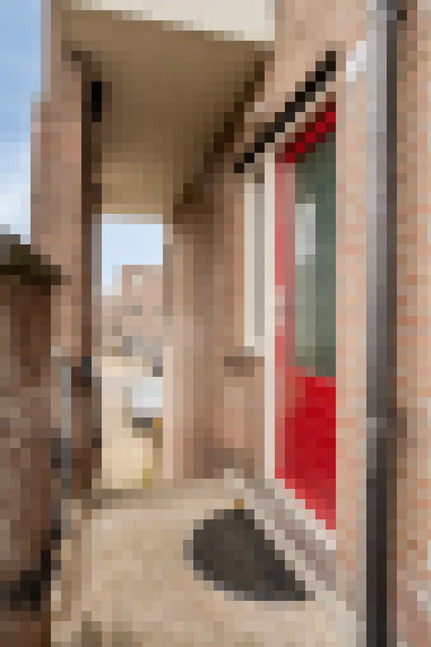 Pieternel Koomansstraat 76 Breda thumbnail 41