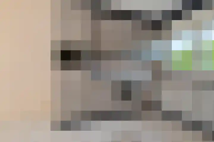 Pieternelweg 4 Noordwijk thumbnail 12