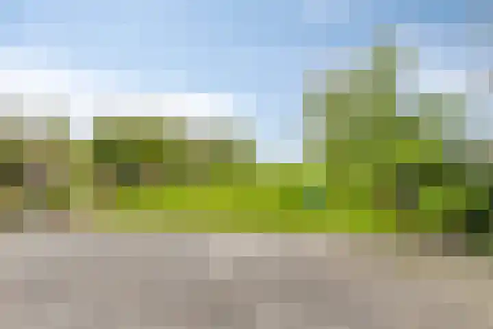 Pieternelweg 4 Noordwijk thumbnail 22