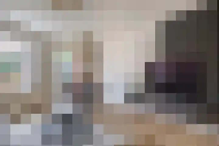 Pietersberg 102 Capelle aan den IJssel thumbnail 12