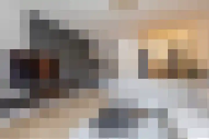 Pietersberg 102 Capelle aan den IJssel thumbnail 13