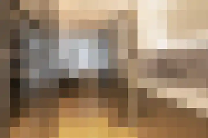 Pietersberg 102 Capelle aan den IJssel thumbnail 18