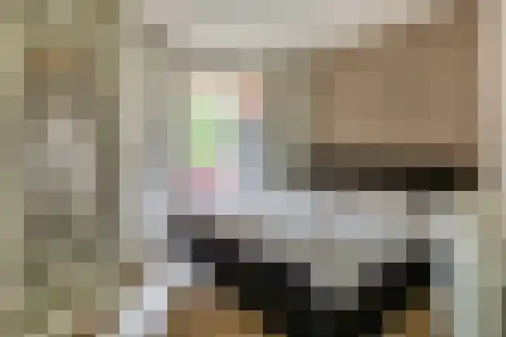 Pietersberg 102 Capelle aan den IJssel thumbnail 20