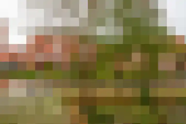 Pietersberg 102 Capelle aan den IJssel thumbnail 22