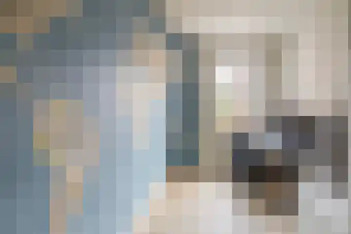 Pietersberg 102 Capelle aan den IJssel thumbnail 28