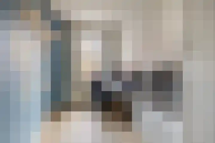 Pietersberg 102 Capelle aan den IJssel thumbnail 29