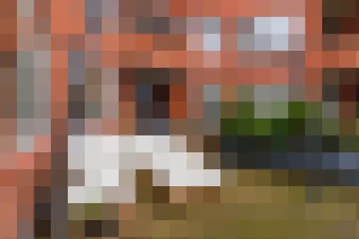 Pietersberg 102 Capelle aan den IJssel thumbnail 30