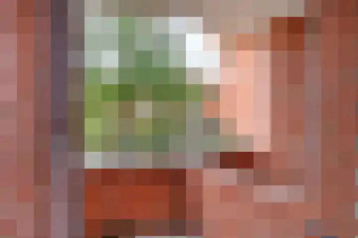 Pietersberg 102 Capelle aan den IJssel thumbnail 35