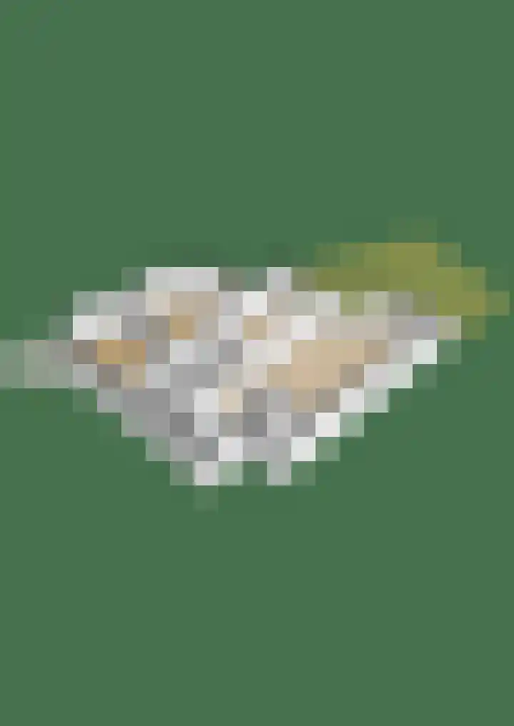 Pietersberg 102 Capelle aan den IJssel thumbnail 45