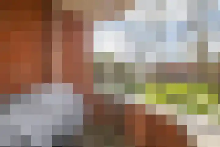 Pietersberg 147 Capelle aan den IJssel thumbnail 26