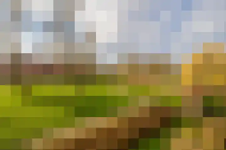 Pietersberg 147 Capelle aan den IJssel thumbnail 29