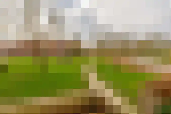 Pietersberg 147 Capelle aan den IJssel thumbnail 30