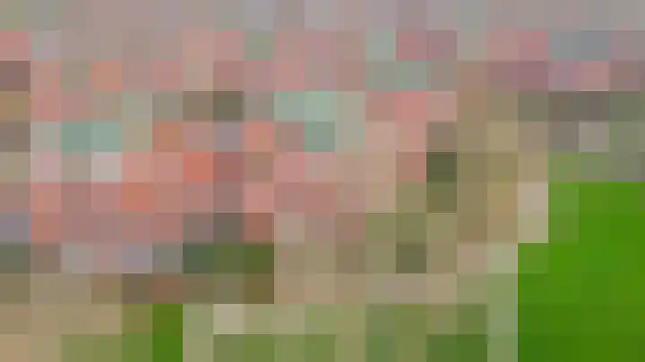 Pietersberg 147 Capelle aan den IJssel thumbnail 31