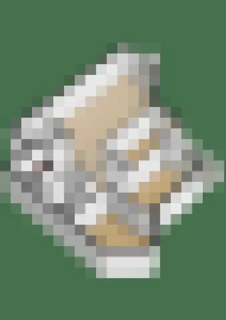 Pietersberg 147 Capelle aan den IJssel thumbnail 38