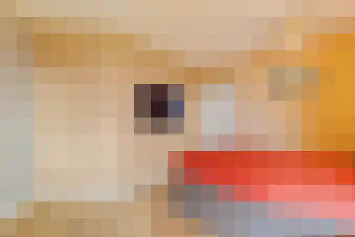 Pietersberg 150 Capelle aan den IJssel thumbnail 12