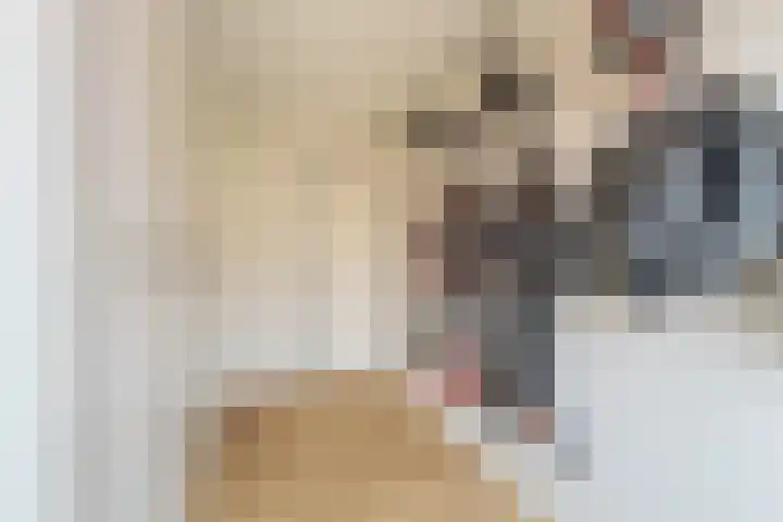 Pietersberg 150 Capelle aan den IJssel thumbnail 16
