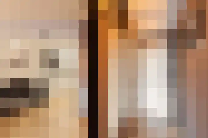 Pietersberg 150 Capelle aan den IJssel thumbnail 18