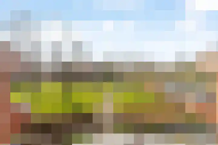 Pietersberg 150 Capelle aan den IJssel thumbnail 22