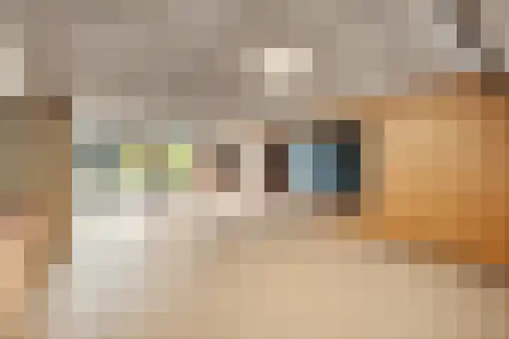Pietersberg 150 Capelle aan den IJssel thumbnail 25
