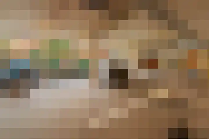 Pietersberg 150 Capelle aan den IJssel thumbnail 26