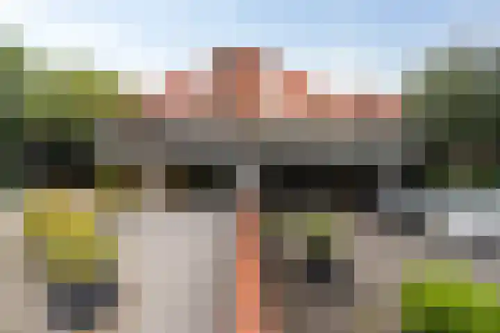 Pietersberg 150 Capelle aan den IJssel thumbnail 27