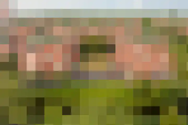Pietersberg 150 Capelle aan den IJssel thumbnail 29