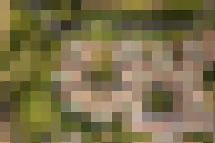 Pietersberg 150 Capelle aan den IJssel thumbnail 30
