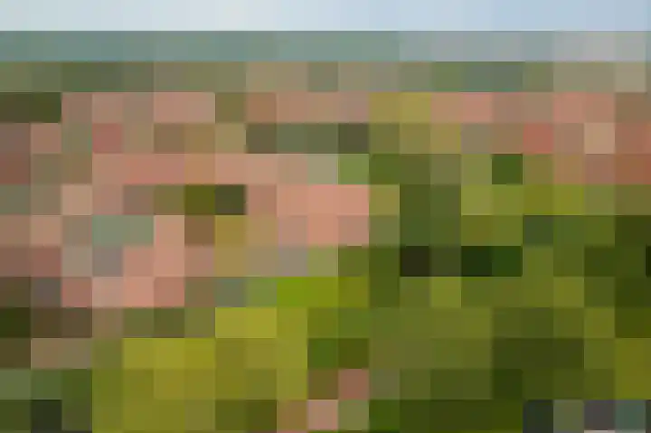 Pietersberg 150 Capelle aan den IJssel thumbnail 31