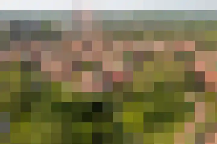 Pietersberg 150 Capelle aan den IJssel thumbnail 32
