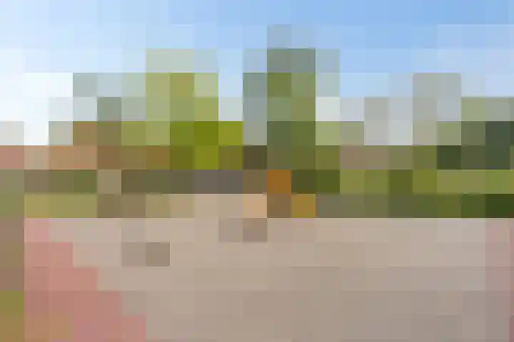 Pietersberg 150 Capelle aan den IJssel thumbnail 33