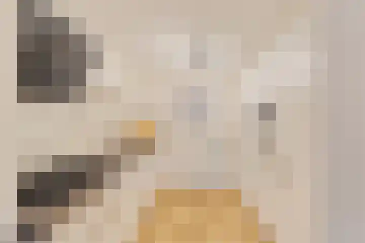 Pietersberg 150 Capelle aan den IJssel thumbnail 4